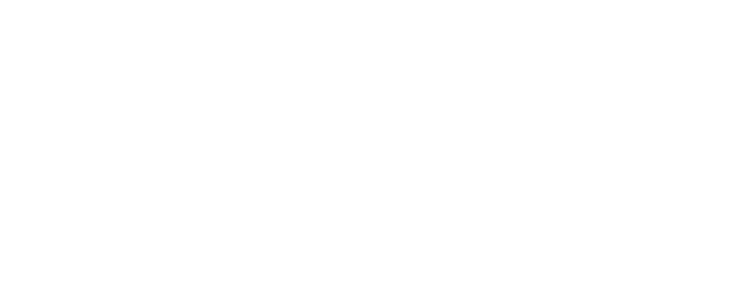 Little Lion Digital